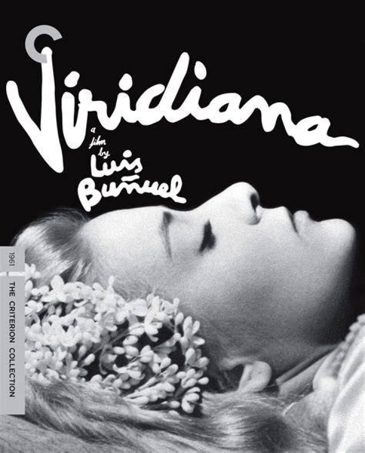 Unveiling the Tale of Viridiana Margarita Frade Banquells
