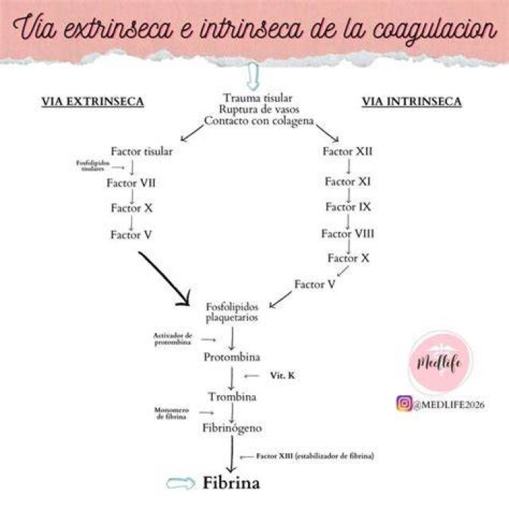 via web.vipwiki.org