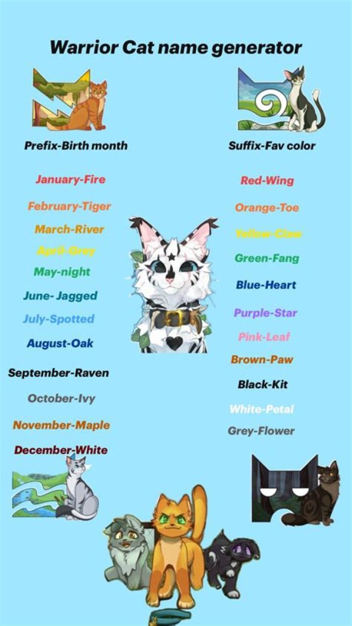 Warrior Cat Name Ideas For White Cats