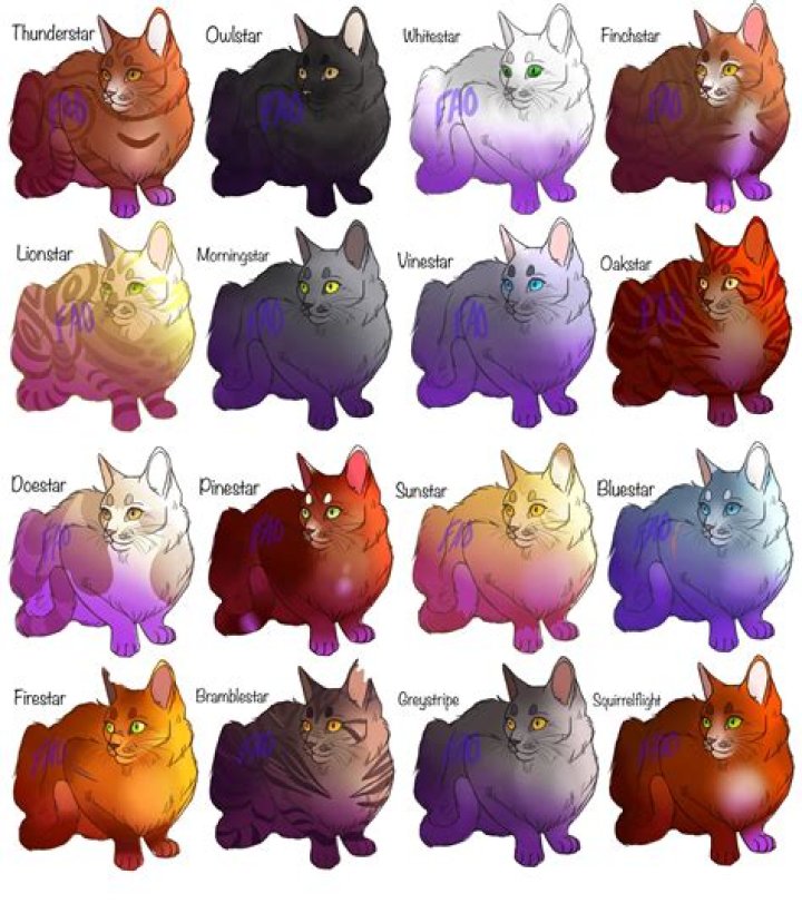 Warrior Cats Characters Thunderclan