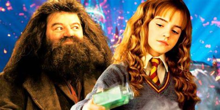 What Happened To Hagrid After Harry Potter Ended