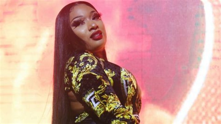 What Megan Thee Stallion Would Look Like As Mortal Kombat's Mileena