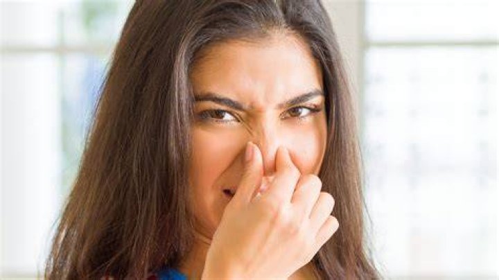 What Your Farts Can Say About Your Health