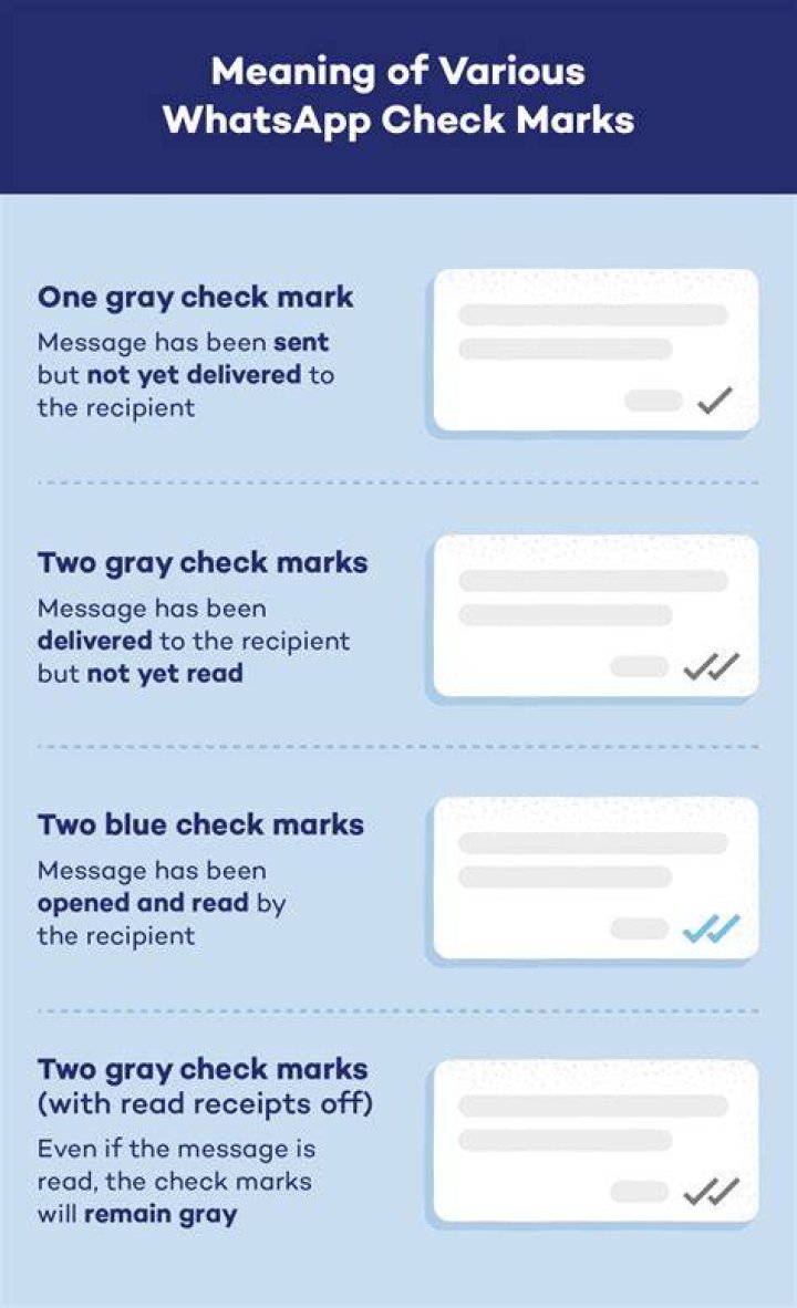 WhatsApp has different check marks that highlight the status of a sent message