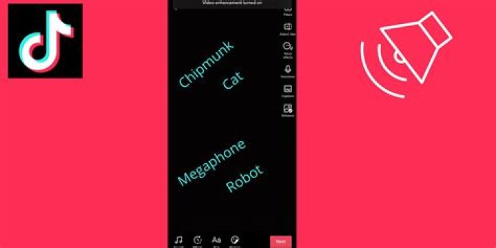 Where Are Voice Effects On TikTok?