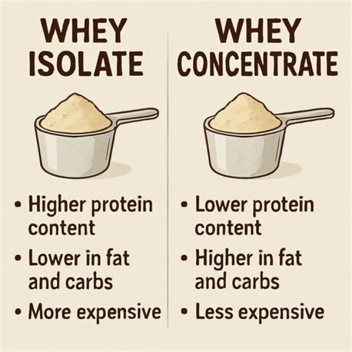 Whey Protein Vs. Isolate: What's The Difference?