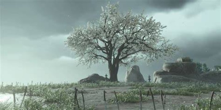 White Leafed Tree Ghost of Tsushima