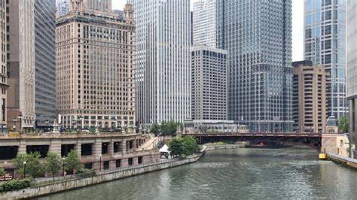 Who Is in the Chicago P.D. Cast? Every Actor In Season 11 NBC Insider