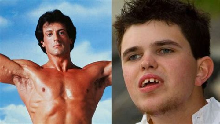 Who is Seargeoh Stallone? Sylvester Stallone's Son and Where You've