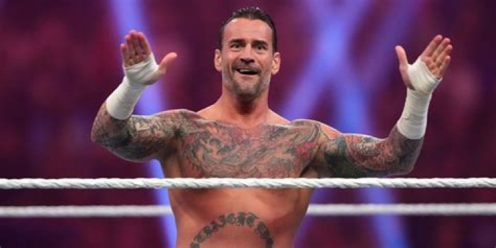 Why Did CM Punk's New Nexus Fail In WWE?