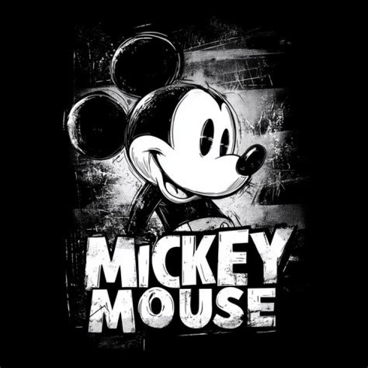 Why TB Karen Killed Mickey