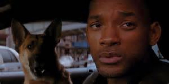 Will Smith as Dr. Robert Neville and his loyal companion Sam in I Am Legend.