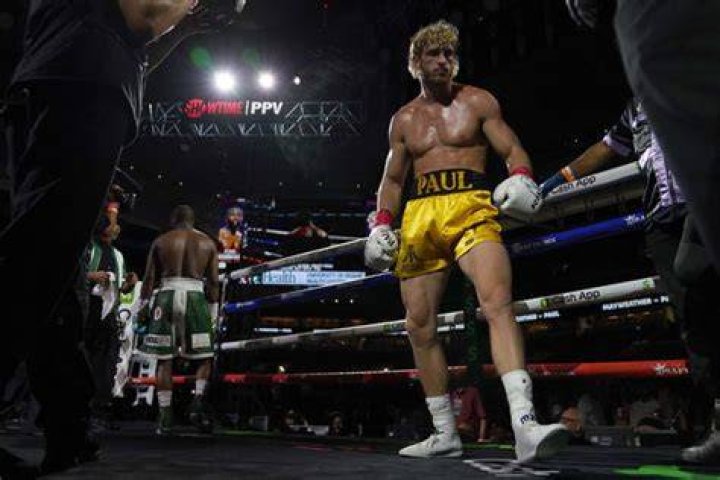 With Zero Boxing Wins, Logan Paul Plots the Greatest Revenge Story on the
Internet