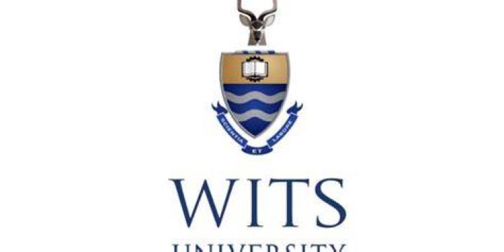 Wits university online application
