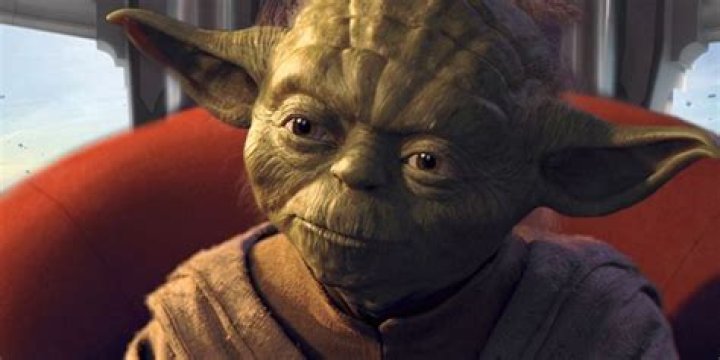 Yoda - who lived for 800 years - is revered by Star Wars fans for almost single-handedly training Star Wars hero Luke Skywalker. Photo / File