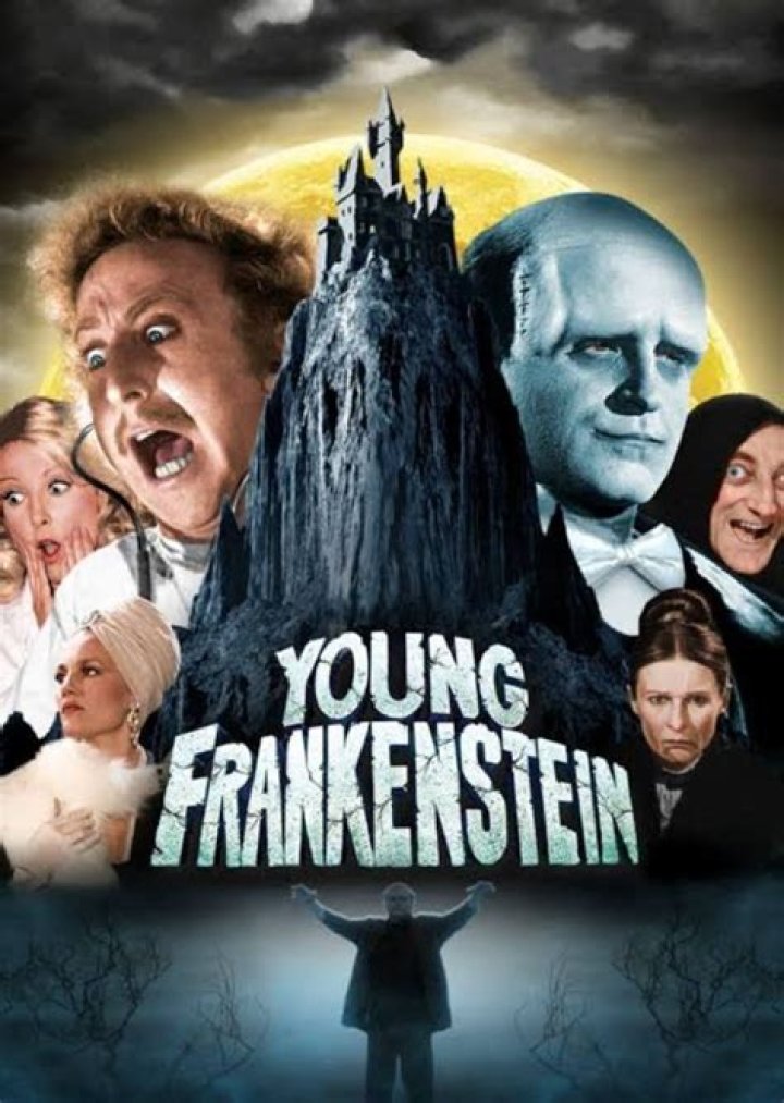 Young Frankenstein (2014)