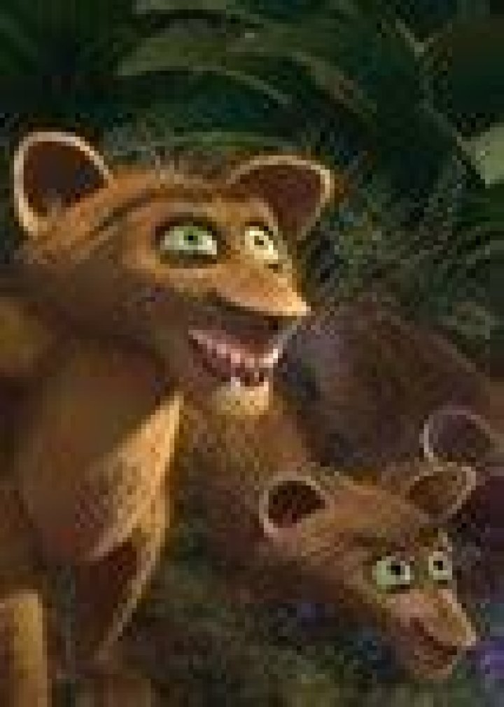 Zuba (Madagascar) Fan Casting